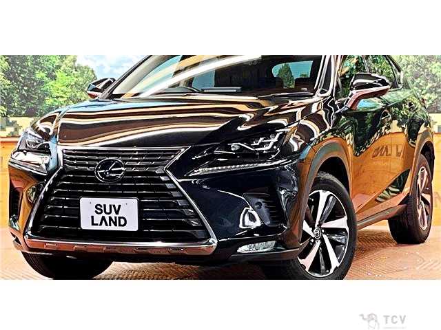 2020 Lexus NX