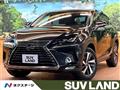 2020 Lexus NX