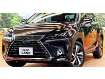2020 Lexus NX