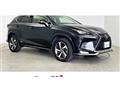 2020 Lexus NX