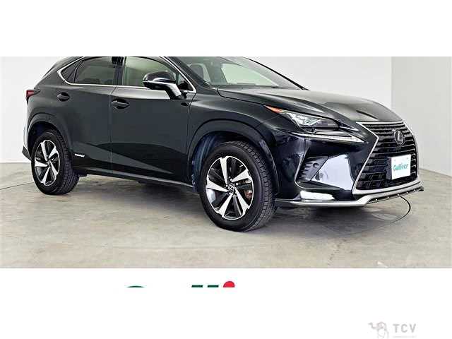 2020 Lexus NX