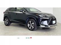 2020 Lexus NX
