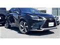 2020 Lexus NX