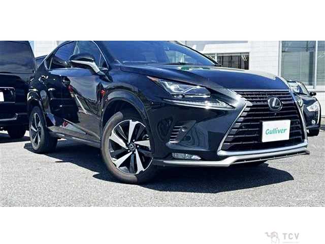 2020 Lexus NX