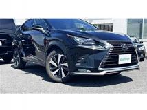 2020 Lexus NX