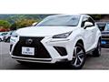 2020 Lexus NX