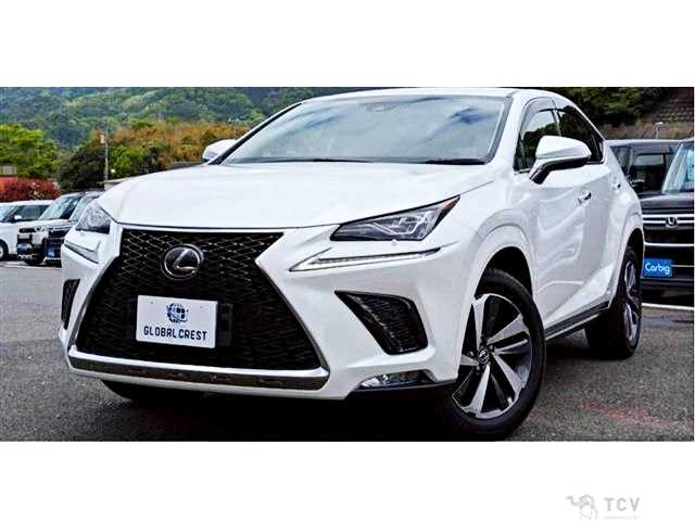 2020 Lexus NX