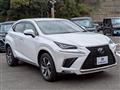 2020 Lexus NX