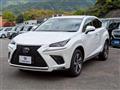2020 Lexus NX
