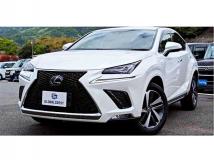 2020 Lexus NX