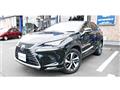 2020 Lexus NX