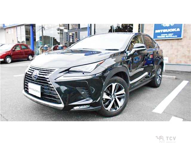 2020 Lexus NX