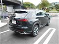 2020 Lexus NX