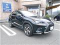 2020 Lexus NX