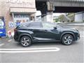 2020 Lexus NX