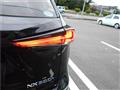 2020 Lexus NX