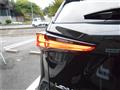 2020 Lexus NX