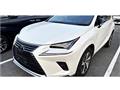 2020 Lexus NX