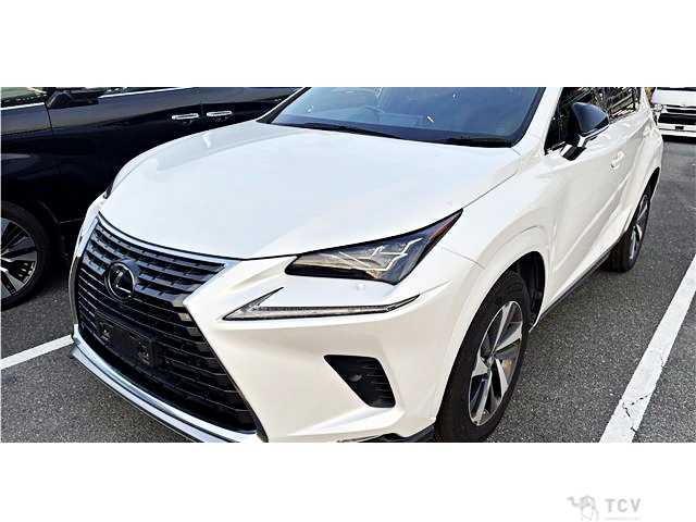 2020 Lexus NX