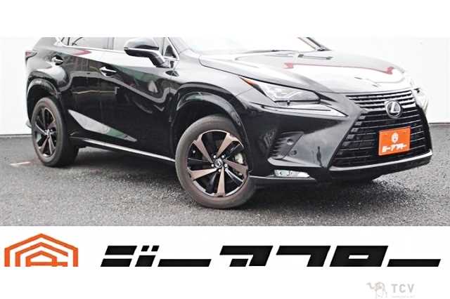 2020 Lexus NX