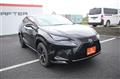 2020 Lexus NX