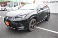 2020 Lexus NX