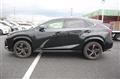 2020 Lexus NX