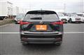 2020 Lexus NX