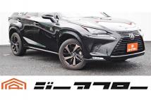 2020 Lexus NX