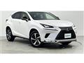 2020 Lexus NX