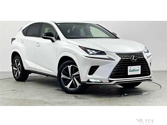 2020 Lexus NX