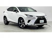 2020 Lexus NX