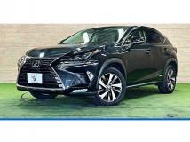 2020 Lexus NX