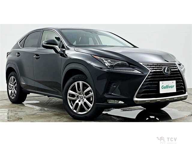 2020 Lexus NX