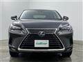 2020 Lexus NX