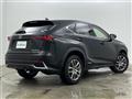 2020 Lexus NX