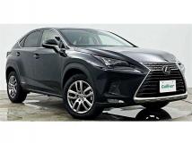 2020 Lexus NX