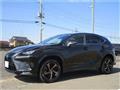 2020 Lexus NX