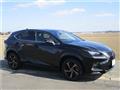 2020 Lexus NX