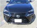 2020 Lexus NX