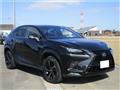 2020 Lexus NX