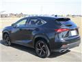 2020 Lexus NX