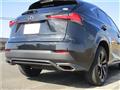 2020 Lexus NX