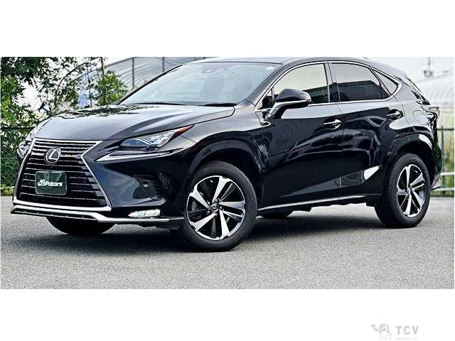 2020 Lexus NX