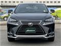 2020 Lexus NX