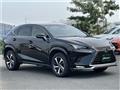 2020 Lexus NX