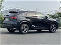 2020 Lexus NX