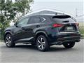 2020 Lexus NX
