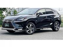 2020 Lexus NX