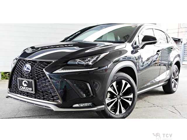 2020 Lexus NX